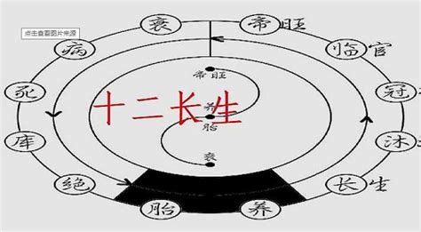 十长生|十二长生的含义是什么？十二长生在四柱的意义和作用详解